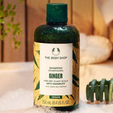 Ginger Anti-dandruff Shampoo