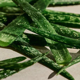 Aloe Caring Roll-on Deodorant