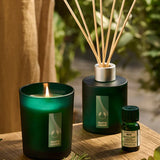 Breathe Eucalyptus & Rosemary Renewing Fragrance Diffuser